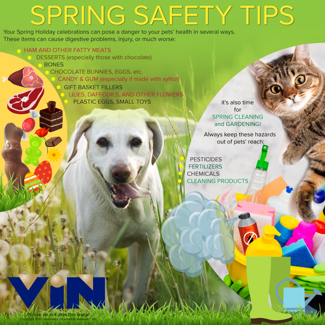 Spring Safety Tips